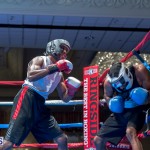 Friday Night Fights Bermuda Nov 21 2014 (45)