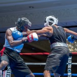 Friday Night Fights Bermuda Nov 21 2014 (51)