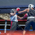 Friday Night Fights Bermuda Nov 21 2014 (53)