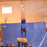 Gymnastics Bermuda, November 8 2014-12