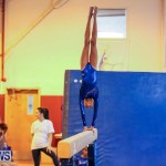 Gymnastics Bermuda, November 8 2014-36
