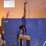 Gymnastics Bermuda, November 8 2014-7