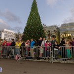 Hamilton Christmas Tree Lighting 2014 (6)