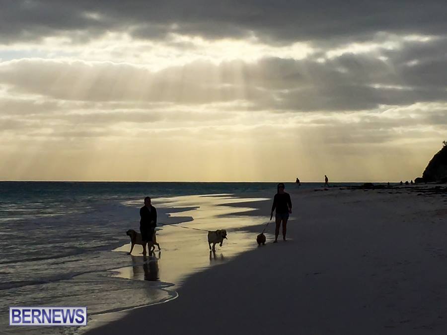 666-Rays-of-light-bermuda-generic