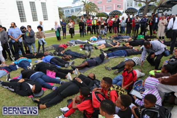 Bermuda die in Dec 2014 (9)