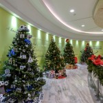 CHRISTMAS TREES IN MALL 2014 (11)