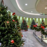 CHRISTMAS TREES IN MALL 2014 (12)