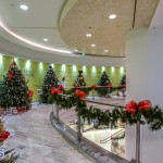 CHRISTMAS TREES IN MALL 2014 (13)