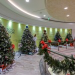 CHRISTMAS TREES IN MALL 2014 (14)