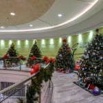 CHRISTMAS TREES IN MALL 2014 (15)
