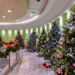 CHRISTMAS TREES IN MALL 2014 (16)