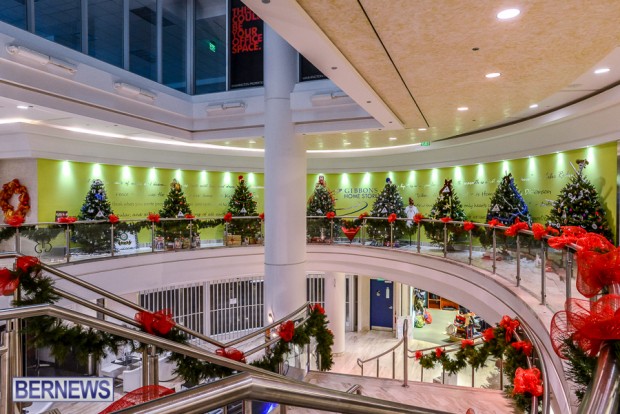 CHRISTMAS TREES IN MALL 2014 (17)