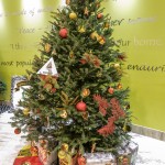 CHRISTMAS TREES IN MALL 2014 (8)