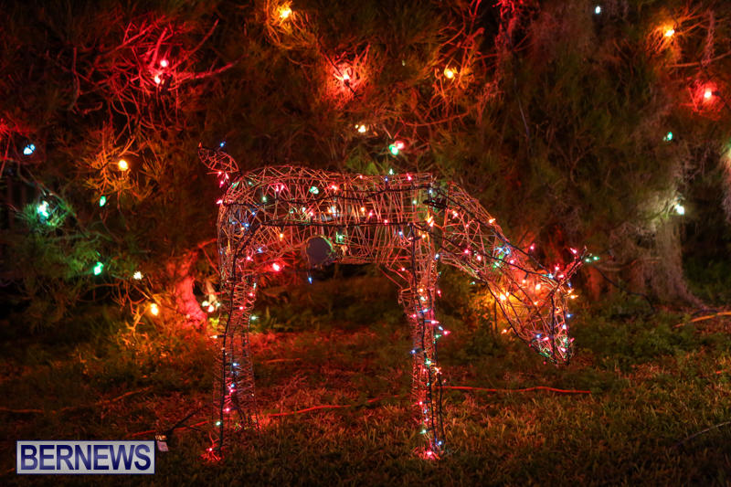 Christmas-Lights-Decorations-Bermuda-December-20-2014-112