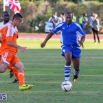 Devonshire Colts vs Young Men Social Club Bermuda, January 1 2015-3