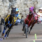 Harness Pony Racing Bermuda, January 1 2015-11