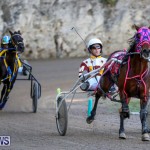 Harness Pony Racing Bermuda, January 1 2015-14