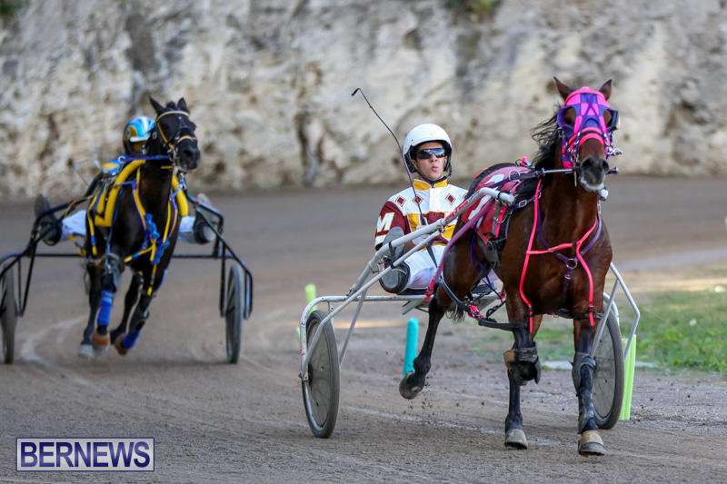 Harness-Pony-Racing-Bermuda-January-1-2015-14