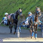 Harness Pony Racing Bermuda, January 1 2015-17
