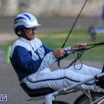 Harness Pony Racing Bermuda, January 1 2015-18