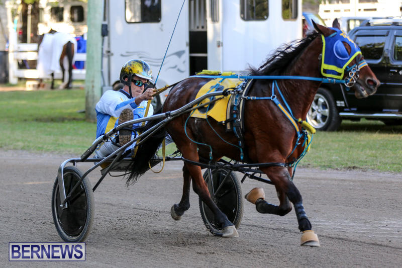 Harness-Pony-Racing-Bermuda-January-1-2015-20