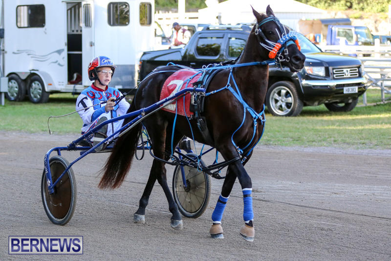 Harness-Pony-Racing-Bermuda-January-1-2015-23