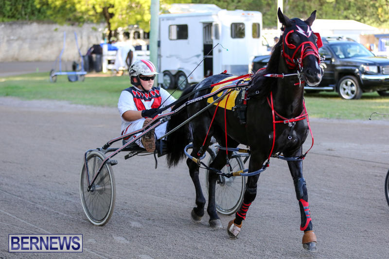Harness-Pony-Racing-Bermuda-January-1-2015-24