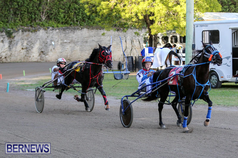 Harness-Pony-Racing-Bermuda-January-1-2015-25