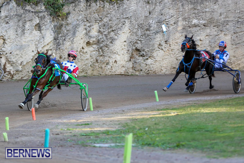 Harness-Pony-Racing-Bermuda-January-1-2015-26