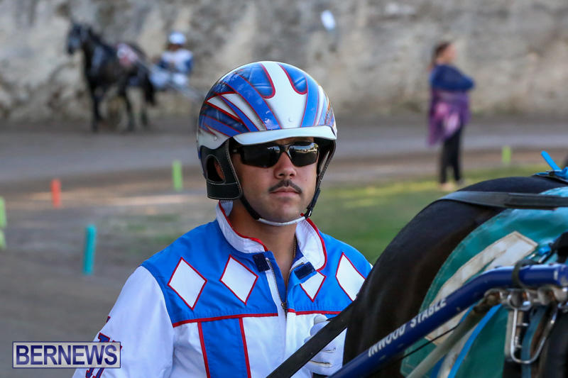 Harness-Pony-Racing-Bermuda-January-1-2015-3