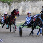 Harness Pony Racing Bermuda, January 1 2015-30