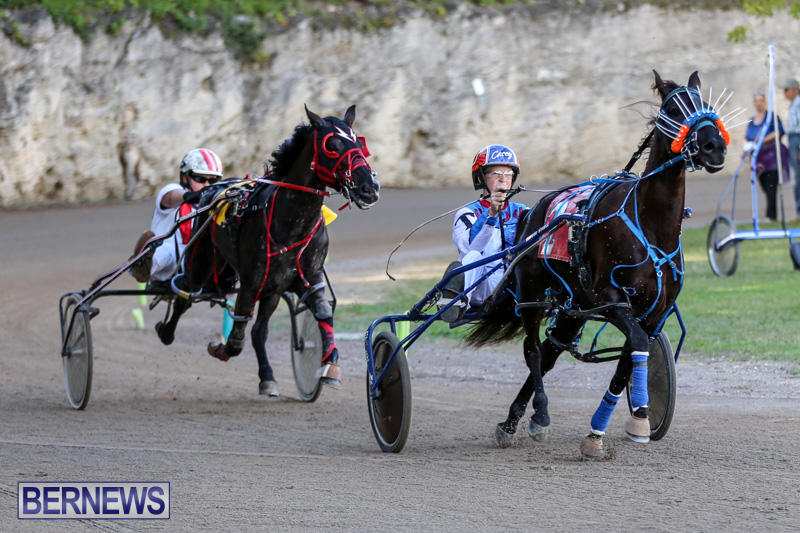 Harness-Pony-Racing-Bermuda-January-1-2015-30