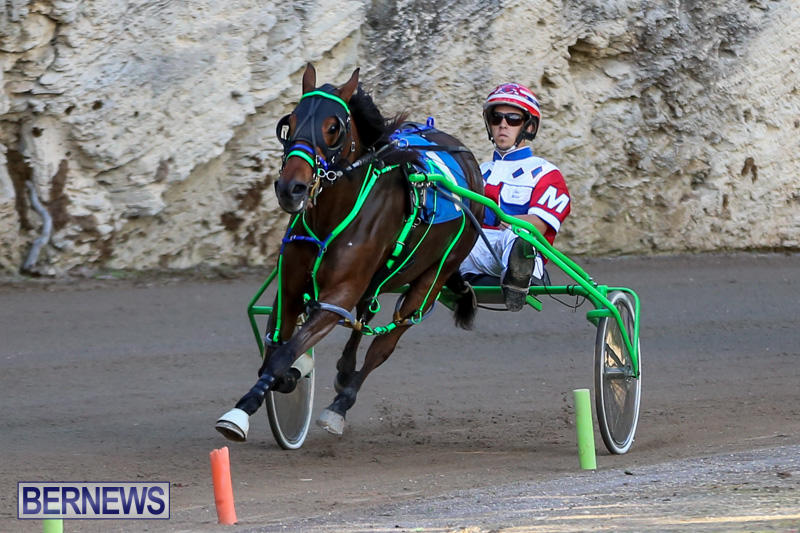 Harness-Pony-Racing-Bermuda-January-1-2015-31