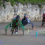 Harness Pony Racing Bermuda, January 1 2015-32