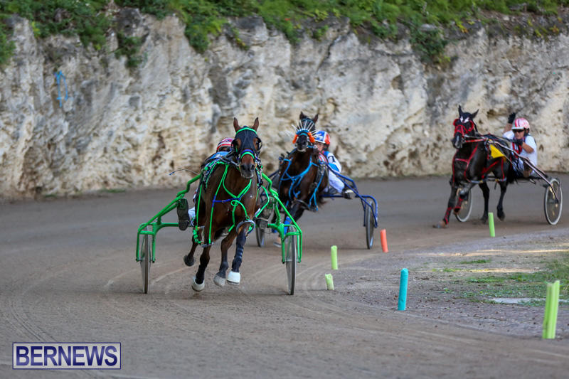 Harness-Pony-Racing-Bermuda-January-1-2015-32