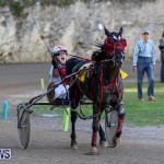 Harness Pony Racing Bermuda, January 1 2015-33