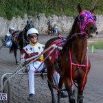 Harness Pony Racing Bermuda, January 1 2015-5