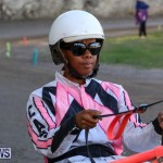 Harness Pony Racing Bermuda, January 1 2015-6
