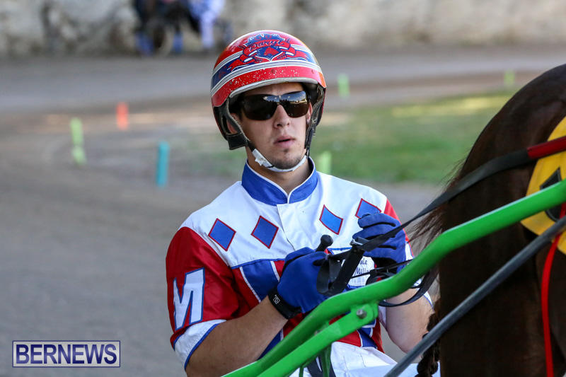 Harness-Pony-Racing-Bermuda-January-1-2015-7