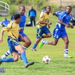St David’s vs Young Men Social Club Football Bermuda, January 11 2015-17