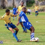 St David’s vs Young Men Social Club Football Bermuda, January 11 2015-22