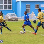 St David’s vs Young Men Social Club Football Bermuda, January 11 2015-32