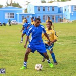 St David’s vs Young Men Social Club Football Bermuda, January 11 2015-54