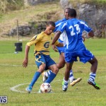 St David’s vs Young Men Social Club Football Bermuda, January 11 2015-83