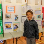 Elliott Primary Science Fair Bermuda, February 25 2015-9