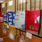 Purvis Primary Science Fair Bermuda, February 26 2015-38