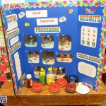 Purvis Primary Science Fair Bermuda, February 26 2015-89
