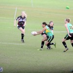 Rugby 2015-Feb-7 (7)