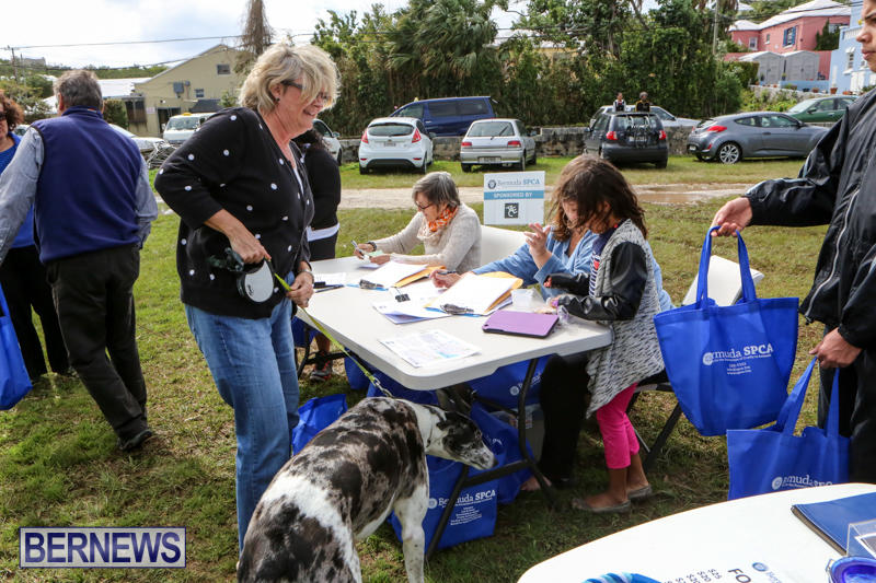 SPCA-Paws-To-The-Park-Bermuda-March-1-2015-101