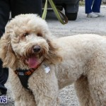 SPCA Paws To The Park Bermuda, March 1 2015-12